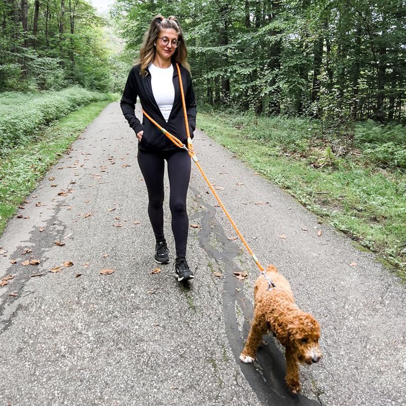 Running Gear Holder - Laisse réfléchissante pour chien mains libres