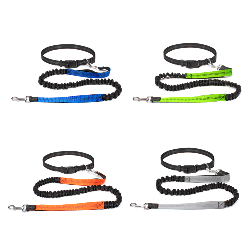 Laisse mains libres pour chien - Running Gear Holder avis et prix